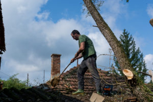 what to do if a tree falls on your roof