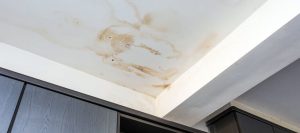 looking up at a leaky and rusty roof on the interior of a home with dark grey cabinets in the background